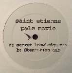 Saint Etienne  Pale Movie