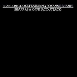 Brandon Cooke Featuring Roxanne Shante Sharp As A Knife (Acid Attack)