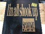 Spoonie Gee  I'm All Shook Up