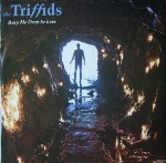 Triffids  Bury Me Deep In Love