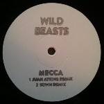 Wild Beasts  Present Tense Remixes