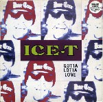 Ice-T  Gotta Lotta Love
