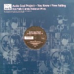 Audio Soul Project You Know