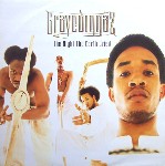 Gravediggaz The Night The Earth Cried