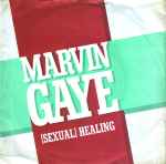 Marvin Gaye Sexual Healing