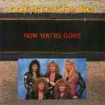 Whitesnake Now You're Gone