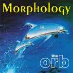 The Orb Morphology