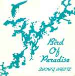 Snowy White Bird Of Paradise