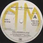 Gallagher & Lyle Every Little Teardrop