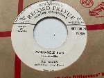 Bud Isaacs And His Cryin' Steel Guitar Panhandle Rag / Beautiful Kahana