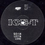 Ice-T  Gotta Lotta Love