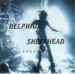 Delphium / Sheephead Split EP