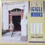 The Icicle Works Live At The Albert Lark Lane