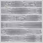 Carcass Identity Carcass Identity 