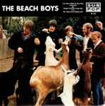 The Beach Boys I Just Wasn't Made For These Times (Stereo Mix)