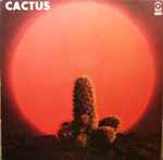 Cactus Cactus
