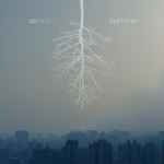 Ozmotic Liquid Times