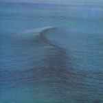 Ride Nowhere