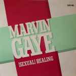 Marvin Gaye Sexual Healing 
