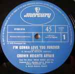 Crown Heights Affair I'm Gonna Love You Forever