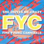 Fine Young Cannibals She Drives Me Crazy