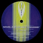 Natural Born Grooves Groovebird