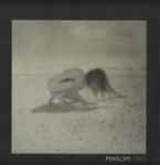 Penelope Trappes Penelope Two