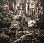 Kamasi Washington Harmony Of Difference