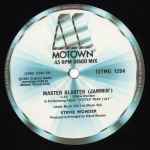 Stevie Wonder Master Blaster (Jammin')