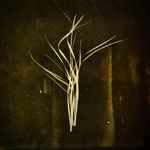 Lumisokea Mnemosyne