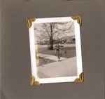 310 Nothing To See Here: Short Stories By 310