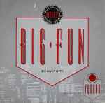 Inner City Big Fun