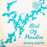 Snowy White Bird Of Paradise