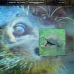 Frankie Goes To Hollywood Watching The Wildlife (Hotter)