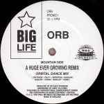 The Orb A Huge Ever Growing Remix