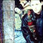 The Associates Wild And Lonely