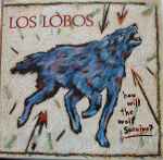 Los Lobos How Will The Wolf Survive?