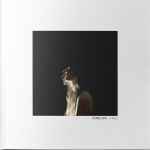 Penelope Trappes Penelope Three