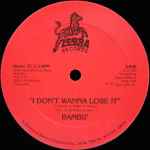 Bambu I Don't Wanna Lose It / Jorge's Theme