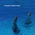 Prosumer & Murat Tepeli U & I / The Jam
