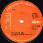 Sweet Fox On The Run