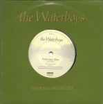 The Waterboys Fisherman's Blues