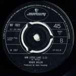 Roger Miller Little Green Apples