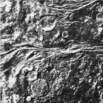 Stefan Jaworzyn Lick My Pussy, Will Montgomery