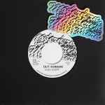 Andy Stott Out (Version) / Love (Version)