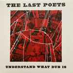 The Last Poets / Prince Fatty Understand What Dub Is (Prince Fatty Dubs)
