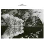 Nick Mott Here Begins The Great Destroyer