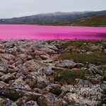 Vladislav Delay Rakka