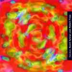 David Sylvian & Robert Fripp Darshan