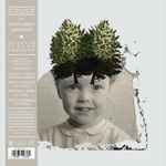 The Stargazer's Assistant Modular Fields